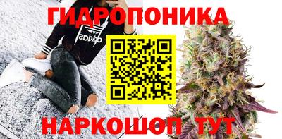 apvp Надым
