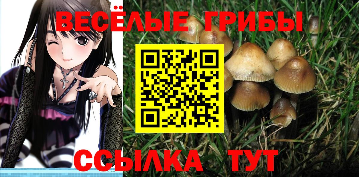 Кизляр  Галлюциногенные грибы мицелий  Вход с VPN 