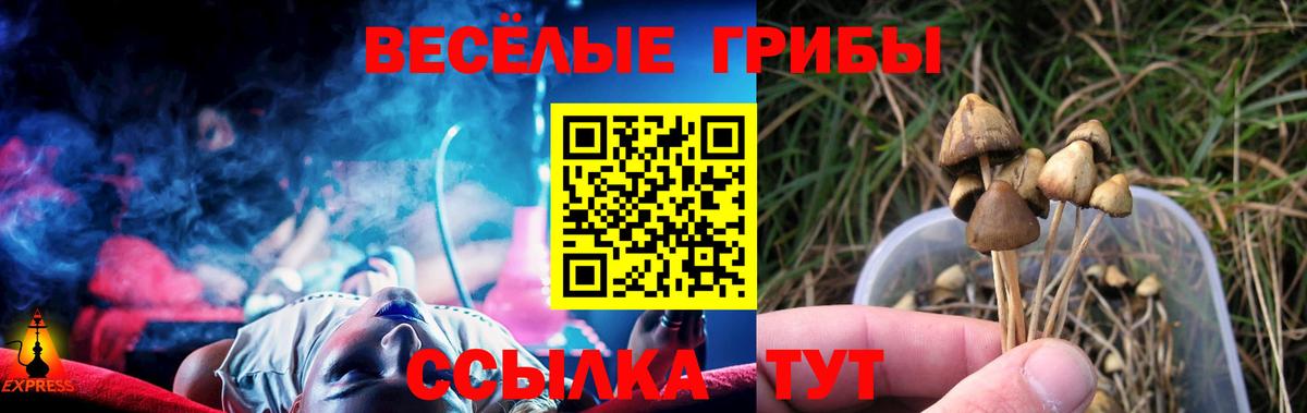 Псилоцибиновые грибы мухоморы Кизляр