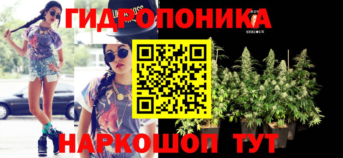 Кизляр  Канабис ГИДРОПОН  Каннабис VHQ  Вход с VPN  Конопля White Widow 